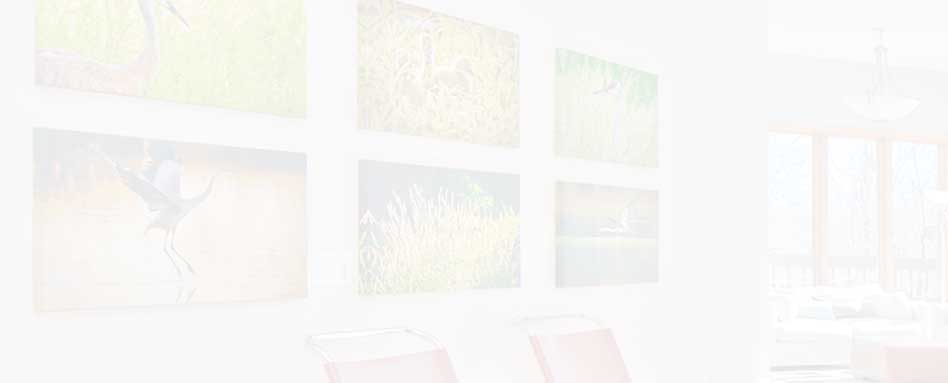 photograph of wall displaying grid of canvas options