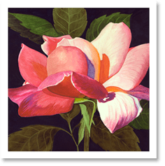 Example print - Watercolor by Bonnie Kondor