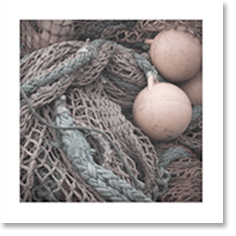 Example print - Photography by Steve Keller